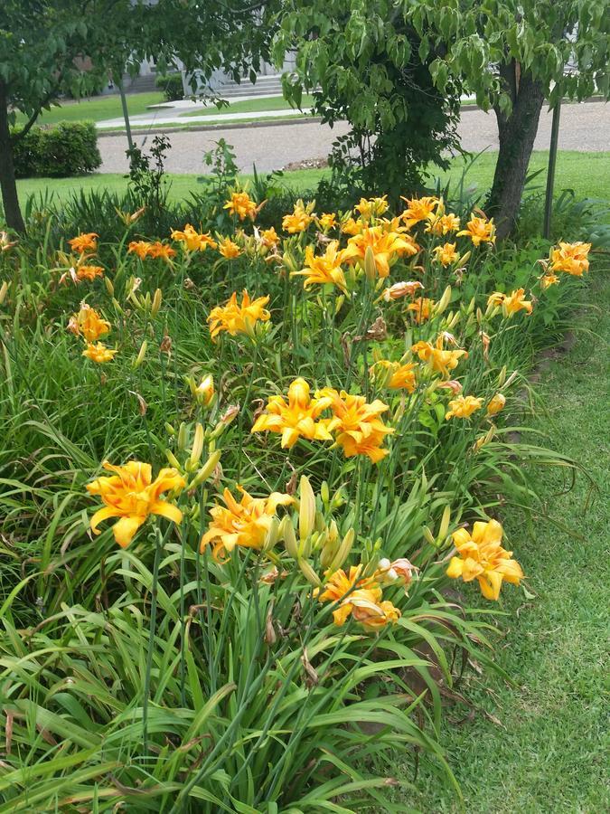 Spahn House Bed And Breakfast Senatobia 外观 照片